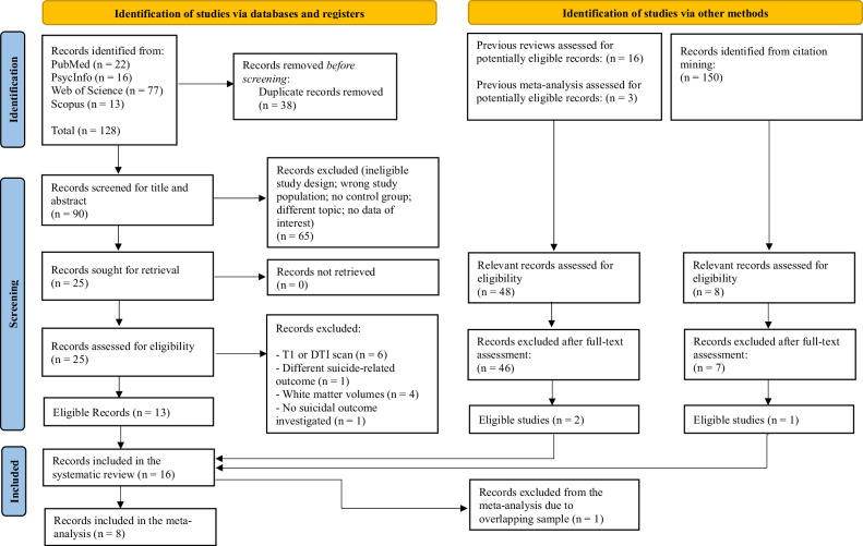 Fig. 1. Flow diagram of the different screening phases for the selection of the included studies according to the PRISMA 2020 statement.